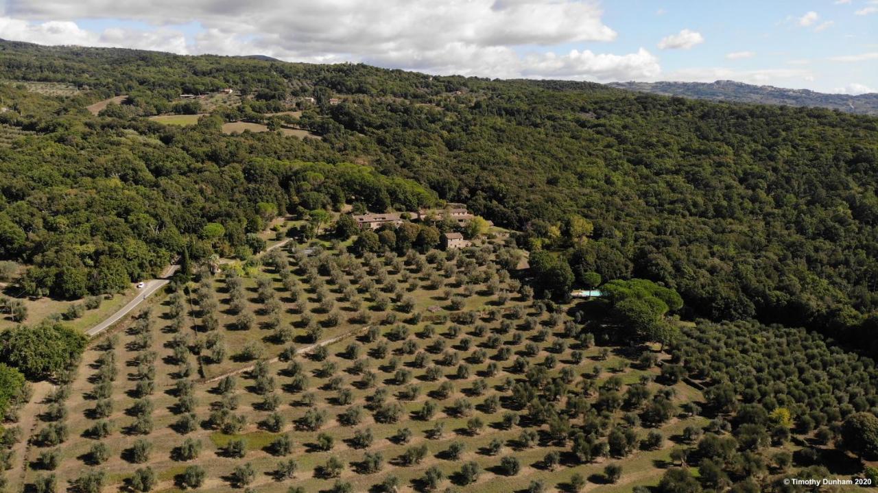 Вилла Pieve Di Caminino Historic Farm Podere Caminino Экстерьер фото