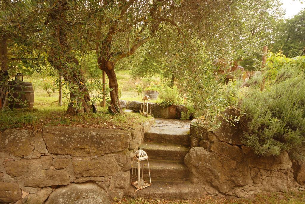 Вилла Pieve Di Caminino Historic Farm Podere Caminino Экстерьер фото