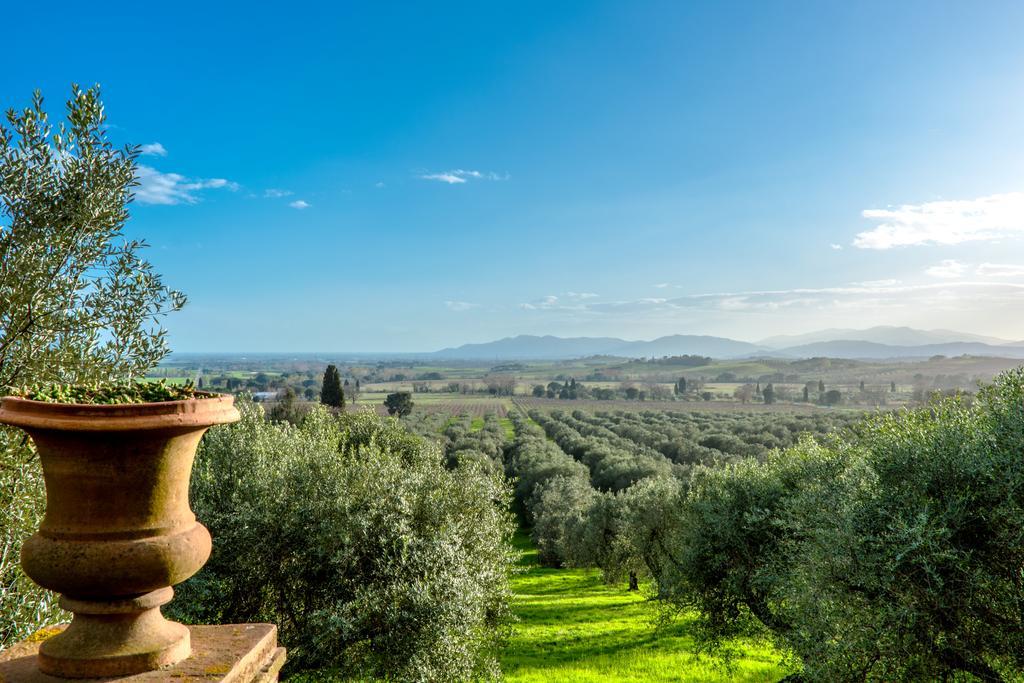 Вилла Pieve Di Caminino Historic Farm Podere Caminino Экстерьер фото